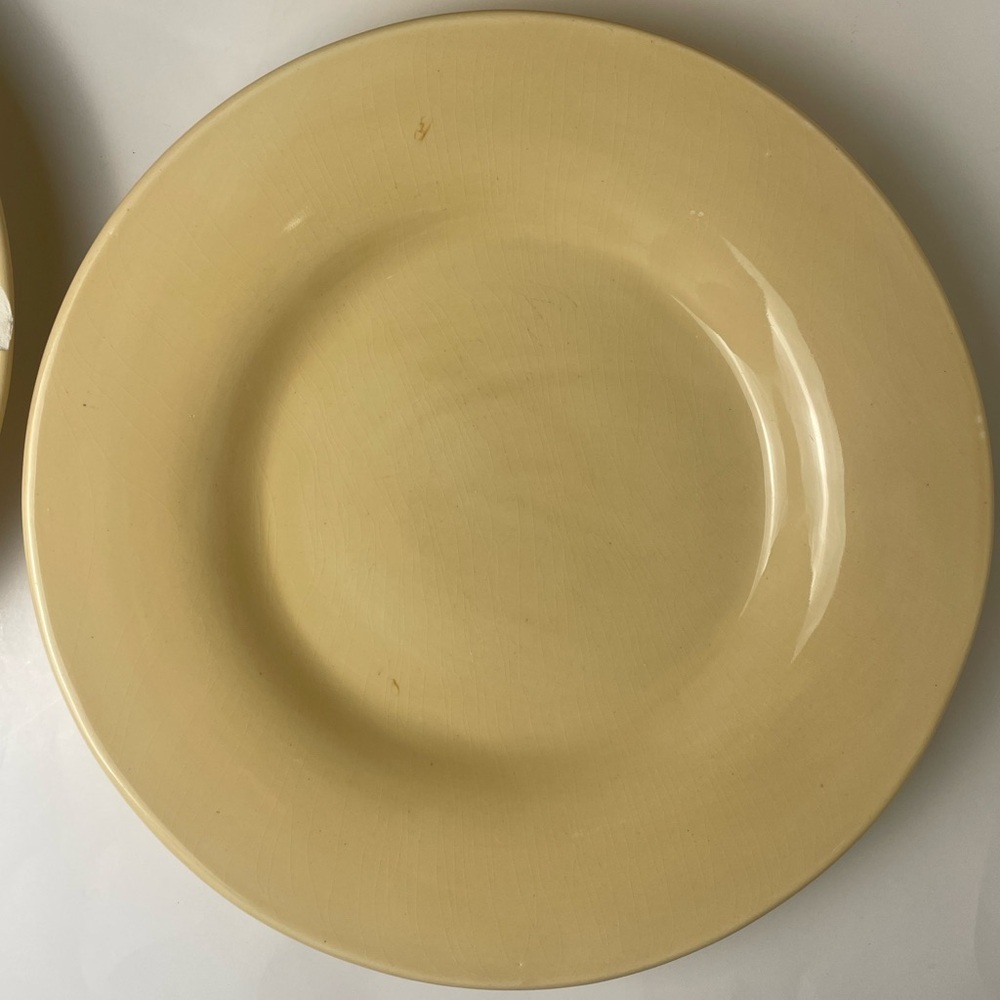 FINAL SALE! Pottery Barn Sausalito Amber Yellow Dinner Plate 12” Hand Painted
